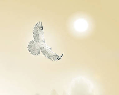 羽ばたく鳥のイメージ